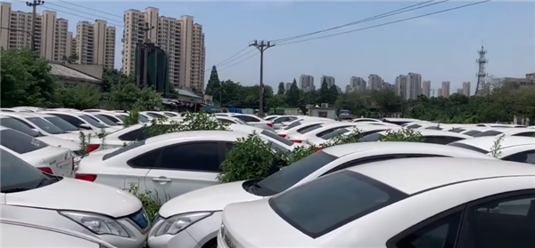杭州郊外惊现网约车“坟场” 数千辆新能源车遭弃