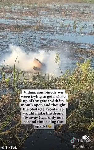 鳄鱼跃出水面吃掉无人机：电池被咬穿 嘴里喷出浓烟