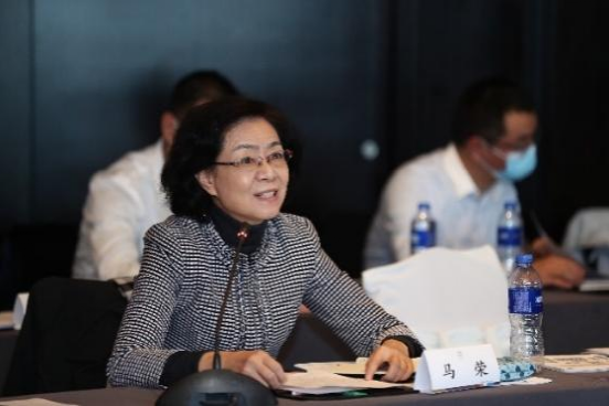 院士专家在京首议“重力储能技术及示范项目”，国家新型储能再添新成员