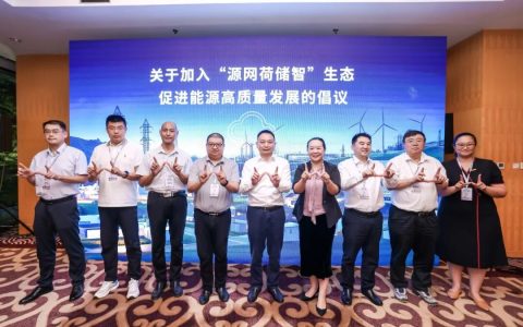 10家单位联合发起倡议：加入“源网荷储智”生态，共促能源高质量发展
